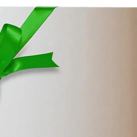 Clean & Simple Solid Color Gift Wrap 30" x 833' Roll {6}