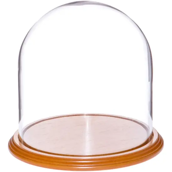 Plymor 8" x 8" Glass Display Dome Cloche Oak Veneer {1}