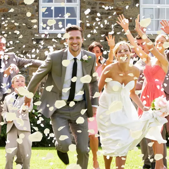 Decor 5000 Pcs Rose Petals Artificial Flower for Valentine's Wedding Decor Romantic Night Event Anniversary Shower Engagement Party Home Decorations {2}