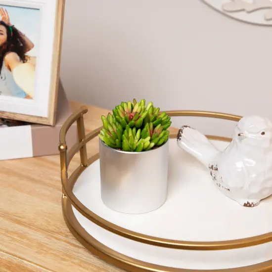 Northlight 4.75" Potted Red and Green Artificial Sedum Succulent {1}