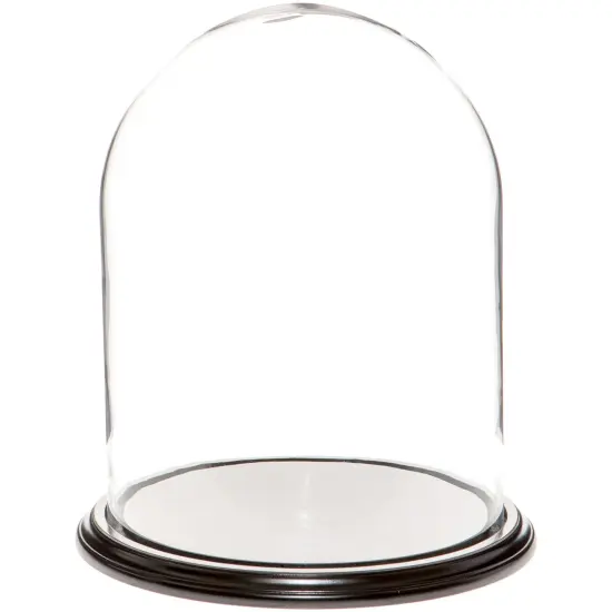 Plymor 11.75" x 15" Glass Display Dome Cloche Black Wood Veneer {1}