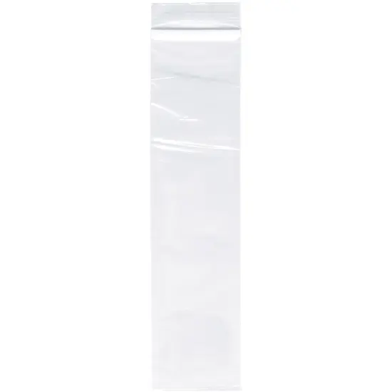 Plymor 2" x 9", 2 Mil Zipper Reclosable Plastic Bags {1}
