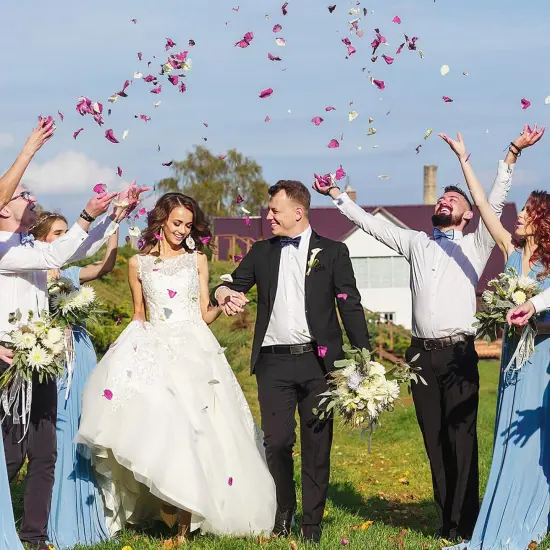 Artificial Silk Rose Petals 300pcs Reusable Fake Purple Flower Petals for Wedding {5}