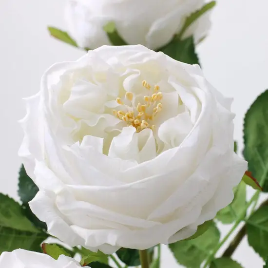 White Artificial Roses 4 Pcs Real Touch Latex Artificial Flowers Austin Rose Peony with Long Stem for Wedding Bouquet Home Decor Flower Arrangement {3}