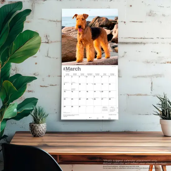 Airedale Terriers | 2026 12 x 24 Inch (Hanging) Monthly Square Wall Calendar | Plastic-Free {5}