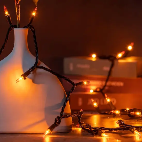 Pack of 2 Sets 33 ft 100 Count Christmas String Lights (Orange) {3}