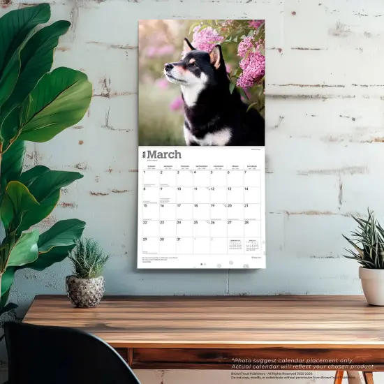 Shiba Inu | 2026 12 x 24 Inch (Hanging) Monthly Square Wall Calendar | Plastic-Free {5}