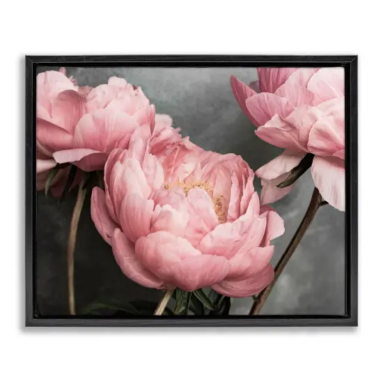 Stupell Industries Pink Peonies Trio Framed Floater Canvas Wall Art Design by Sisi and Seb {1}