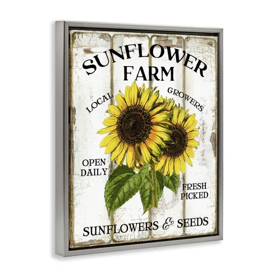 Stupell Industries Antique Sunflower Farm Seeds Floater Framed Canvas Wall Art Design by Creatif Belle {3}