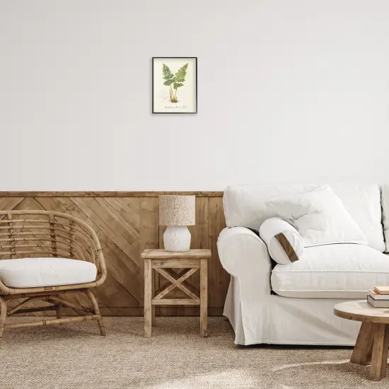 Stupell Industries Biological Plant Study Framed Giclee Wall Art Design by Tina Higgins Designs, Inc. {2}