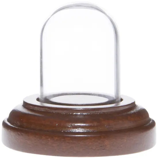 Plymor Miniature 1" x 1.5" Mini Glass Display Dome TINY Cloche Walnut Veneer {1}