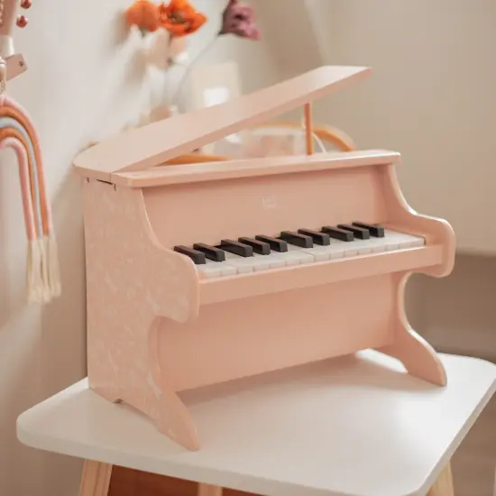 Label Label: Wooden Piano - Pink - Musical Instrument Toy, Dragonfly & Nature Design, 15 White-10 Black Keys, Closing Lid, 16.5 x 12.5 x 16", Kids 3+ {3}