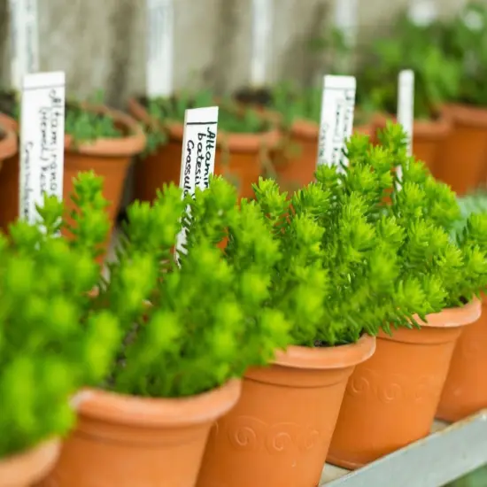 Sihl 4322 DuraCopy&trade; 5 Mil Synthetic C2S Mayte 8.5&rdquo;x11&rdquo; 25 Sheets FREE SHIPPING {5}