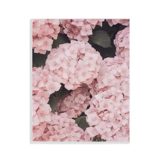 Stupell Industries Pink Hydrangea Blossoms Wall Plaque Art Design by Sisi and Seb {1}