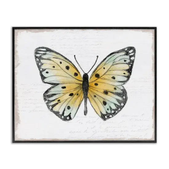Stupell Industries Beautiful Butterfly on White Framed Giclee Wall Art Design by Janet Tava {1}