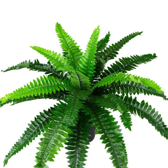Northlight Potted Artificial Green Boston Fern Plant - 17.5" {7}