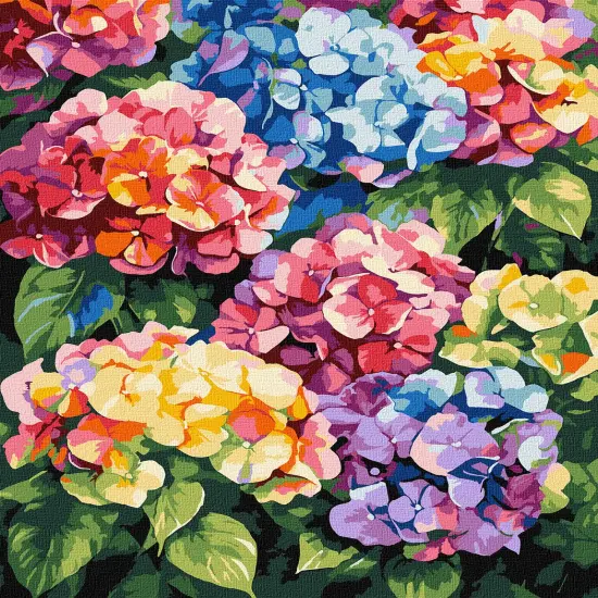 Painting by Numbers kit Multicolored hydrangeas KHO3299 {2}