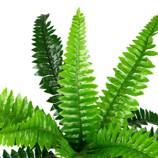 Northlight Potted Artificial Long Green Boston Fern Plant - 15.75" {7}