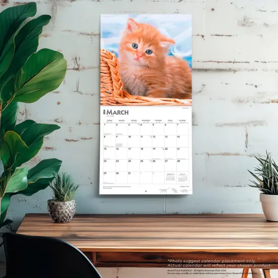 Ginger Cats | 2026 12 x 24 Inch (Hanging) Monthly Square Wall Calendar | Plastic-Free {5}