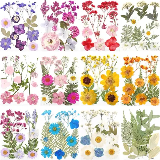 12 Packs Real Dried Flowers for Crafts {1}