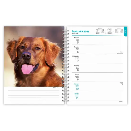 Golden Retrievers | 2026 6x7.75 Inch Spiral-Bound Wire-O Weekly Engagement Planner Calendar | New Full-Color Image Every Week {3}