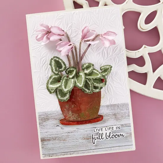 Spellbinders Etched Dies By Susan Tierney-Cockburn-Cyclamen {5}