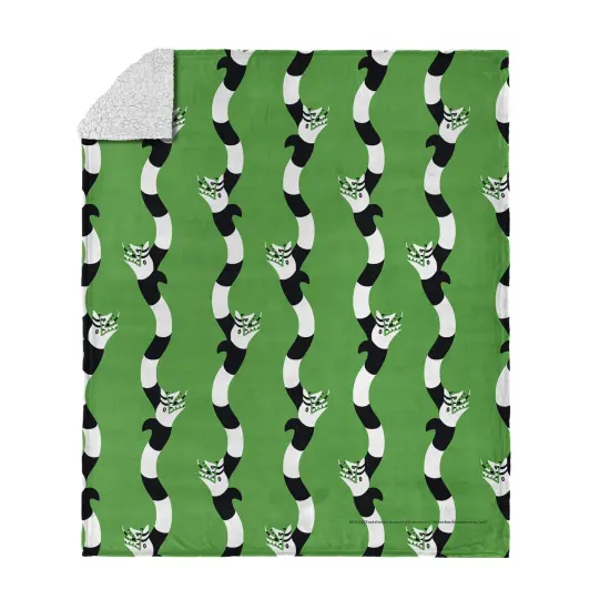 Warner Brothers Beetlejuice Silk Touch Sherpa Throw Blanket Big Dark Room {7}