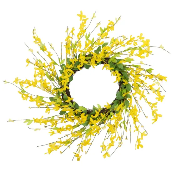 Northlight Forsythia Artificial Spring Floral Wreath - 20" - Yellow {3}