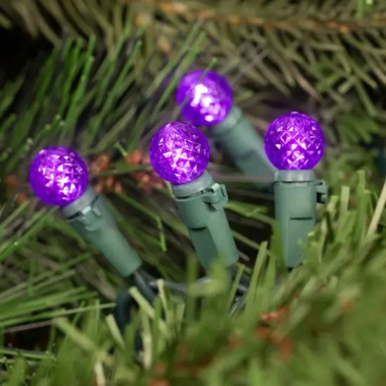 Northlight LED G12 Berry Faceted Christmas Lights - Purple - 15.9' Green Wire - 50ct {4}