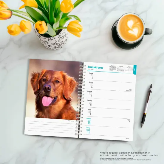 Golden Retrievers | 2026 6x7.75 Inch Spiral-Bound Wire-O Weekly Engagement Planner Calendar | New Full-Color Image Every Week {5}