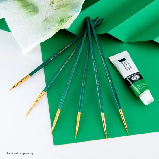 RSET-9139 | 6pc Golden Taklon Variety Brush Set {5}