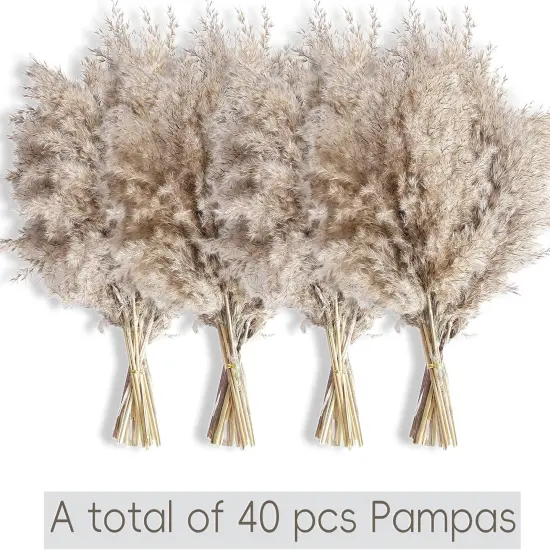 40 PCS Nature Pampas Grass Bouquet {3}