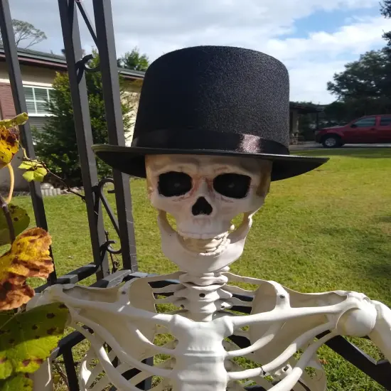 Black Felt Top Hat, Funny Party Magician Hat Lincoln Costume Hat, Butler Top Hat for Cosplay Halloween, Unisex Adult {2}