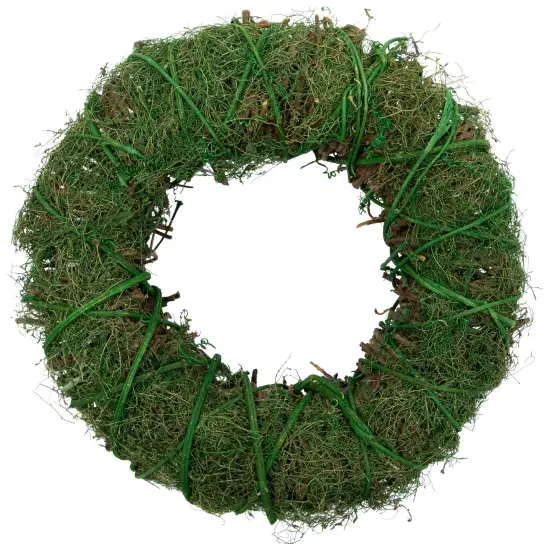 Northlight Green Moss and Twig Artificial Spring Wreath, 12-Inch {3}