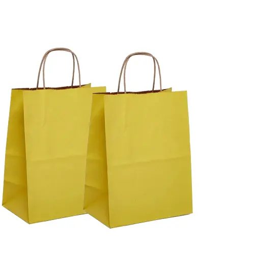 Tinted Kraft Paper Shopping Bag Ideal for Larger Goods, 5.5" x 3.25" x 13" {5}