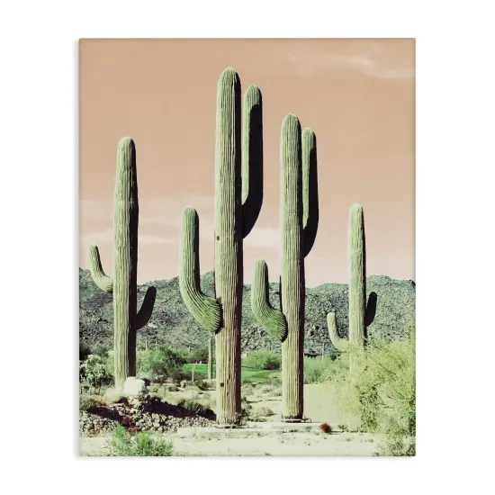 Stupell Industries Sunrise Cactus Scene Canvas Wall Art Design by Susan Bryant {1}