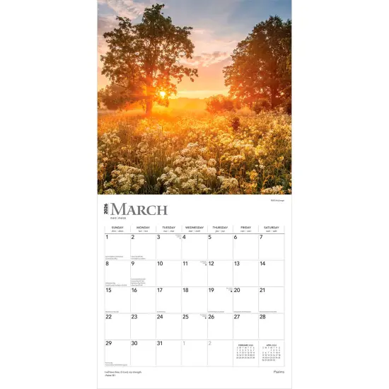 Psalms | 2026 12 x 24 Inch (Hanging) Monthly Square Wall Calendar | Plastic-Free {3}