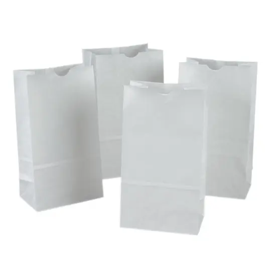 Kraft Bag, White, 6" x 3-5/8" x 11", 50 Bags {1}