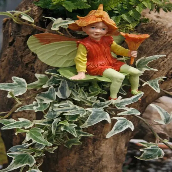 Mini Easter English Ivy - 2.5" Pot - Terrarium/Fairy Garden/House Plant {3}