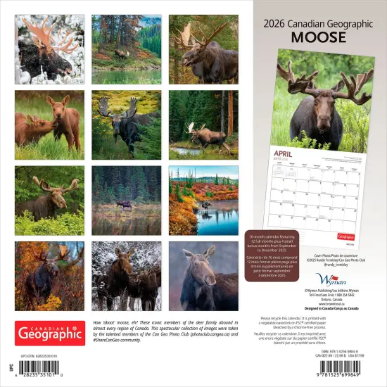 Canadian Geographic Moose OFFICIAL | 2026 12 x 24 Inch (Hanging) Monthly Square Wall Calendar {2}