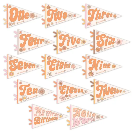 FLOWER CHILD PETIT MILESTONE PENNANTS {1}