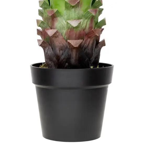 Northlight Real Touch&trade;️ Green Artificial Agave Succulent Plant In a Black Pot - 30.5" Brown {5}