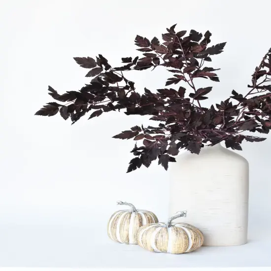 31" Faux Cimicifunga Ramosa Stem: Plum {6}