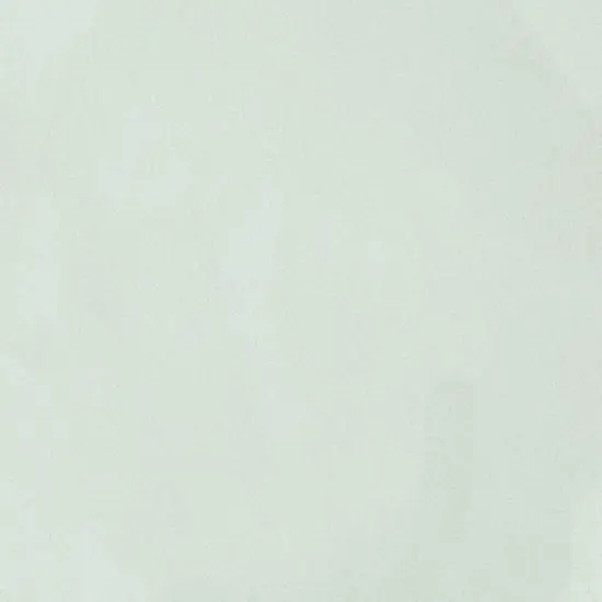 Oceanside Fusible Glass Frit Powder Celadon Opal 96 COE - 8.5oz Jar (2282) {1}