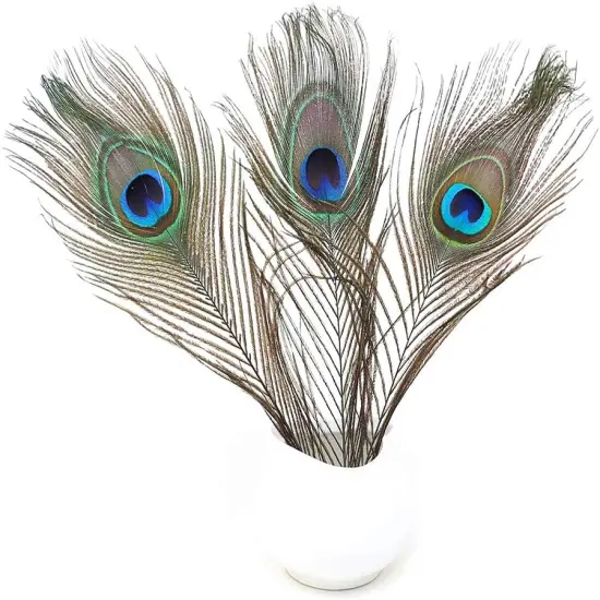 120 PCS Real Natural Peacock Eye Feathers {5}