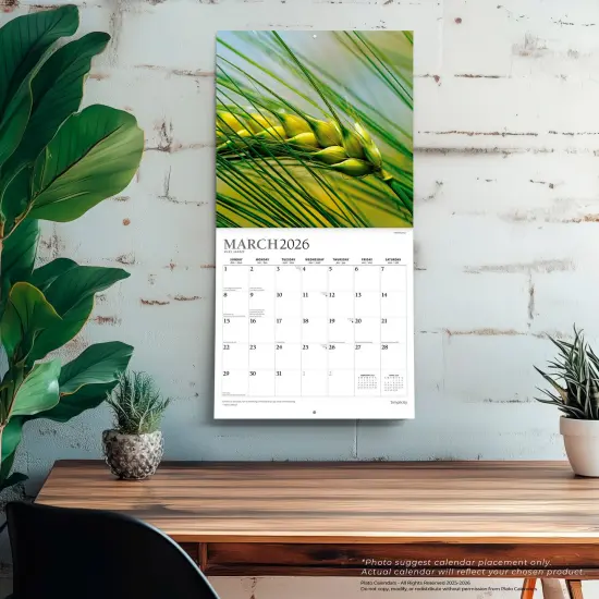 Simplicity | 2026 12 x 24 Inch (Hanging) Monthly Square Wall Calendar | Foil Stamped Cover {5}