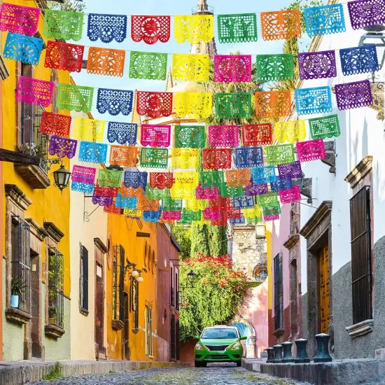 Fiesta Party Decorations, 4 Pack Cinco De Mayo Banner {4}