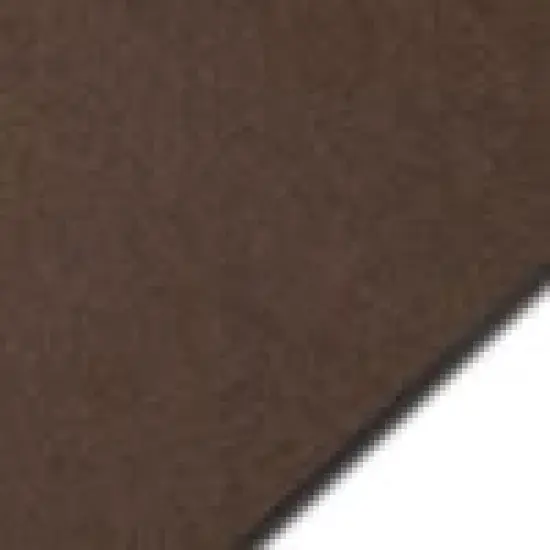 Colorplan BAGDAD BROWN - 12" x 12" - 100 Lb. / 270 Gsm Matte Premium Cardstock Paper Cover Sheet - 100 Sheets {1}