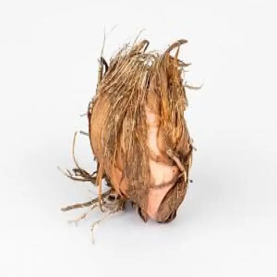 George Davidson Crocosmia - 5 Bulbs 8/10 cm - Very Hardy {5}