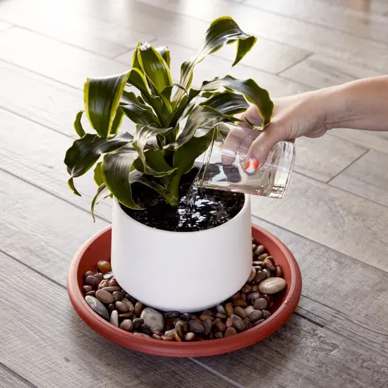 8-Pack Round Plastic Plant Saucer Drip Trays, Terracotta Flower Pot Saucers, Dish for Indoors, Outdoors, Garden, Potted Plants, Home, Patio, Tabletop Planter Base, Terra Cotta Plate Set (12-inch) Brown {3}